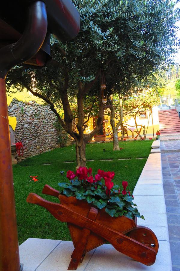 Came Bed & Breakfast Alzano Lombardo Exterior photo